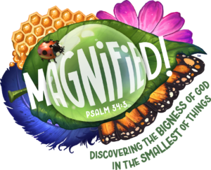 Magnified